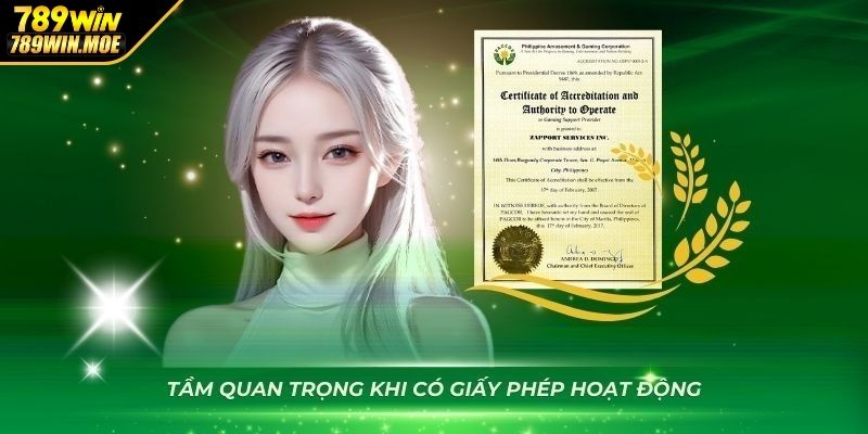 Điều kiện để nhà cái 789WIN nhận được giấy phép hoạt động
