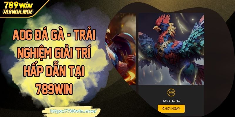 AOG đá gà - Trải nghiệm giải trí hấp dẫn tại 789Win