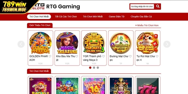 Giới thiệu vài nét về sảnh RTG điện tử