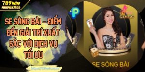 SE sòng bài – Điểm đến Giải trí Xuất sắc với Dịch vụ Tối ưu