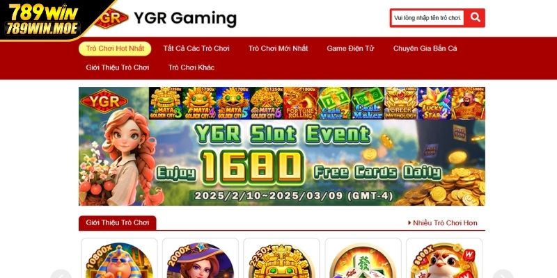 Tổng quát thông tin cần biết về YGR điện tử