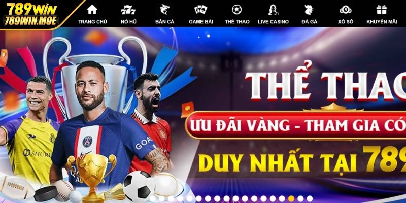 Truy cập trang web chính thức